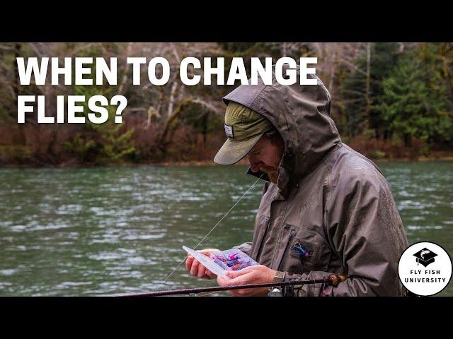 How Often Should You Change Flies?