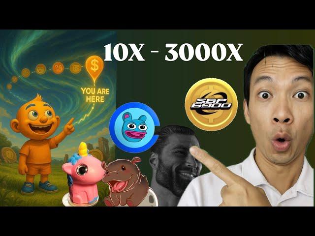 MEME COINS PRINT NEW MILLIONAIRES EVERY CYCLE. ARE YOU HOLDING ANY OF THESE MEME COINS?