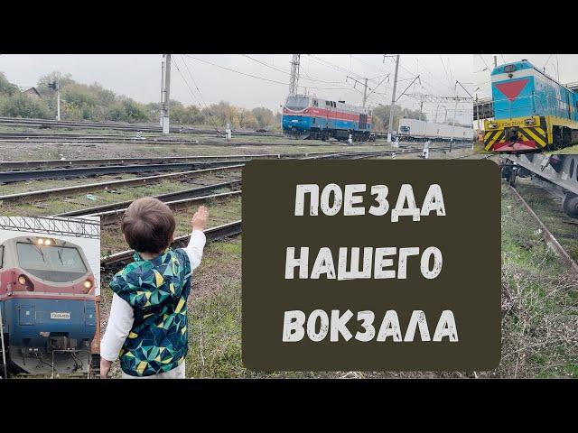 Поезда и железная дорога | Михаил Шадрин и его любимое ту-ту | Как не сойти с ума