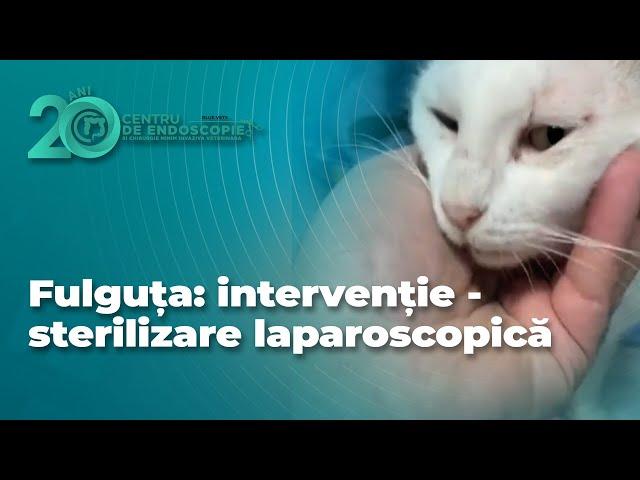 Fulguța: interveție - sterilizare laparoscopică