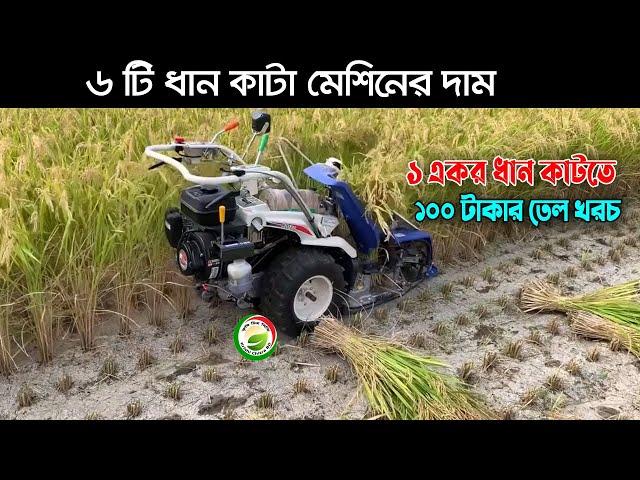 Automatic ধান কাটা এবং মাড়াই মেশিন!! ধান কেটে বস্তায় ভরে নিয়ে চলে যান Rice cutting and harvesting