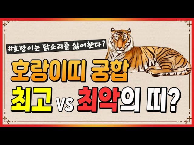 [띠별 궁합] 호랑이 띠와 좋은 VS 나쁜 궁합의 띠는?