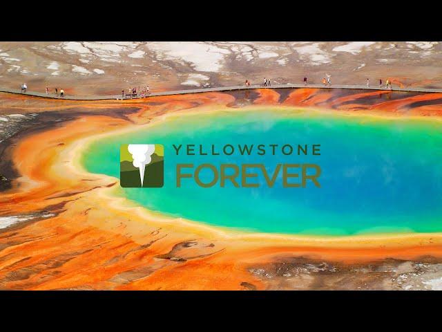 Introducing Yellowstone Forever