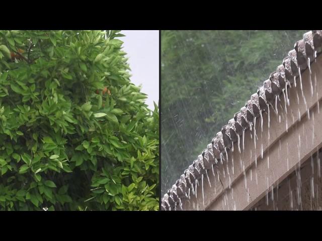 雨の音。 大雨の音、 雨音 【10時間】雨の音 睡眠、睡眠用BGM、勉強用BGM 、雨の音 BGM