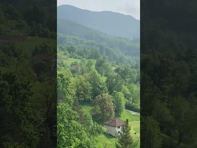 #shortsvideo the beauty of nature #nature