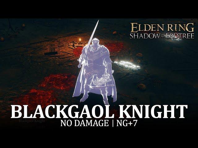 Blackgaol Knight Boss Fight (No Damage / NG+7) [Elden Ring DLC]