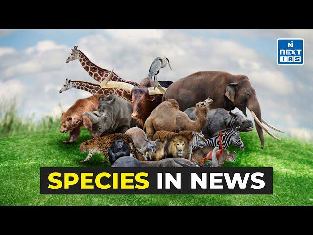 Species in News | 1st -10th December | UPSC Current Affairs 2024 | NEXT IAS