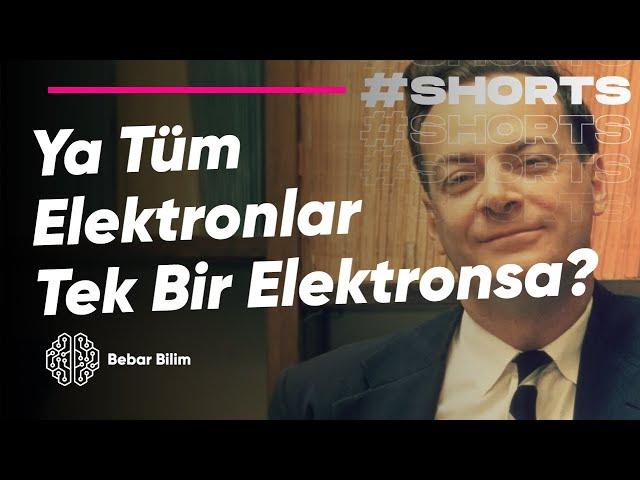 Ya Tüm Elektronlar Tek Bir Elektronsa?