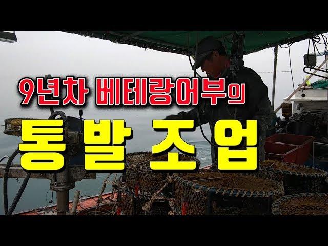 베테랑어부의 혼자서 하는 낙지통발 조업영상