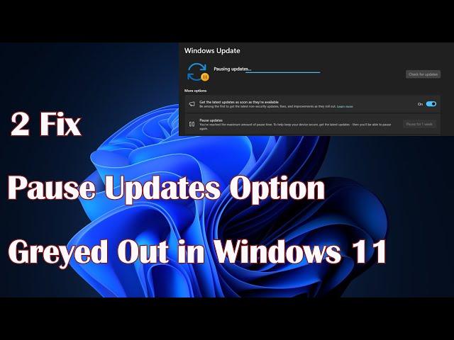 Pause Updates Option Greyed Out in Windows 11 - 2 Fix