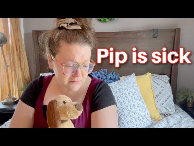 Pip is sick...