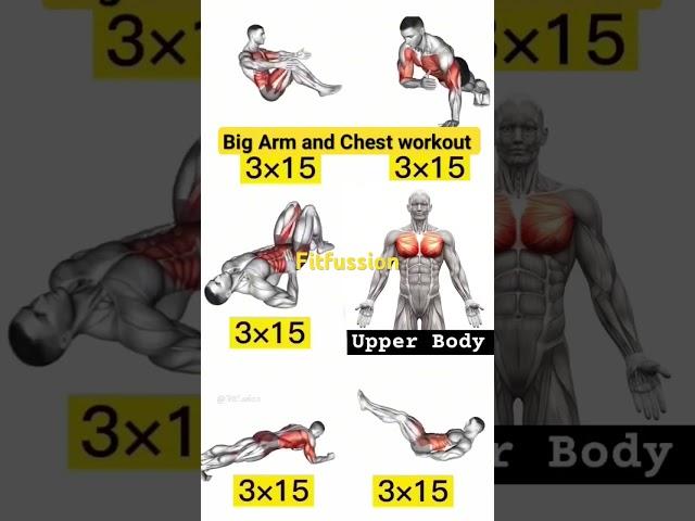 Arm Workout for Toned Muscles | Home Fitness Routine #Workout #HomeWorkout #Fitness