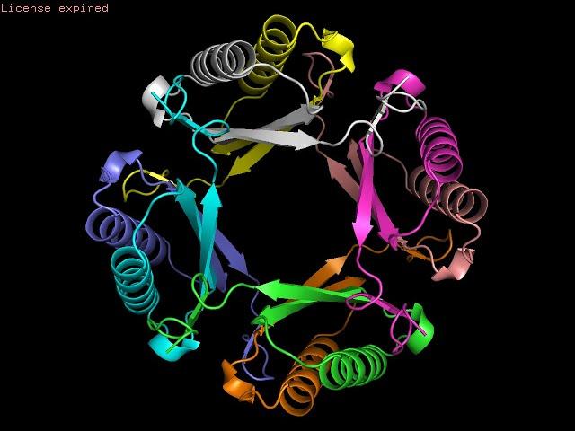ColabFold - Making protein folding accessible to all via Google Colab!