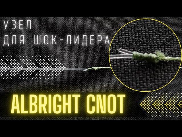 Узел Олбрайт для шок-лидера | Albright cnot - for shockleader