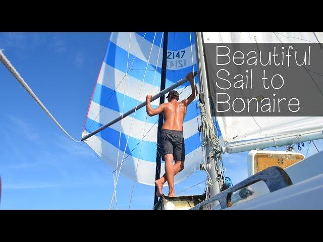 Beautiful Sail to Bonaire — Sailing Uma [Step 95]