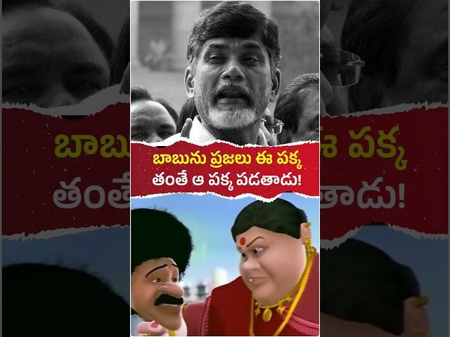 ఎన్నికలెప్పుడొచ్చినా చంద్రబాబును ప్రజలు ఈ పక్క తంతే ఆ పక్క పడతాడు #ysrcongressparty #tdp #ysjagan