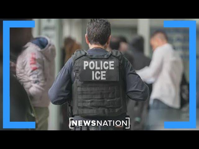 Texas GOP leaders clash over mass deportation plans: Report | NewsNation Now