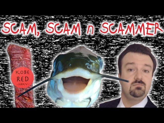 The Forgotten & Failed Scams of the Innocent Internet