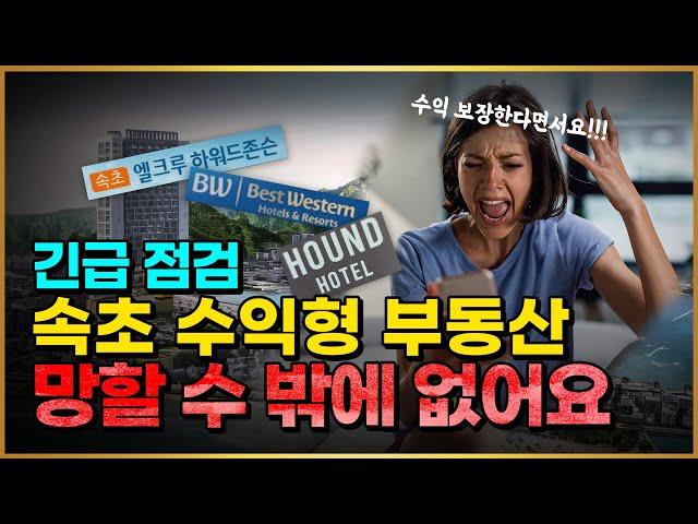 긴급점검! 속초 생활형 숙박 이대로 괜찮나? #더호텔베스트웨스턴 #하워드존슨 #하운드블루스테이