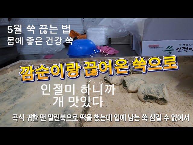 어머니랑 방앗간에 쑥인절미 하러 갔다. 그날은 세찬 비가 내렸다. 떡 먹어야 한다면 쑥떡 2025.05.15