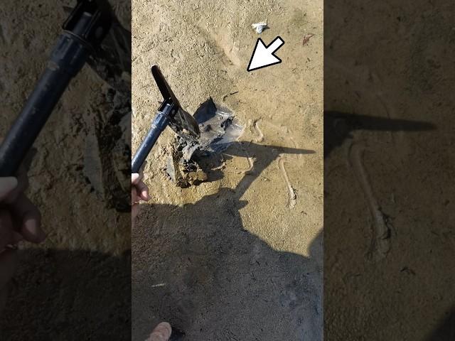 treasure hunt using metal detector #foundgold #metaldetecting #treasurehunt #shortsfeed #viralshorts