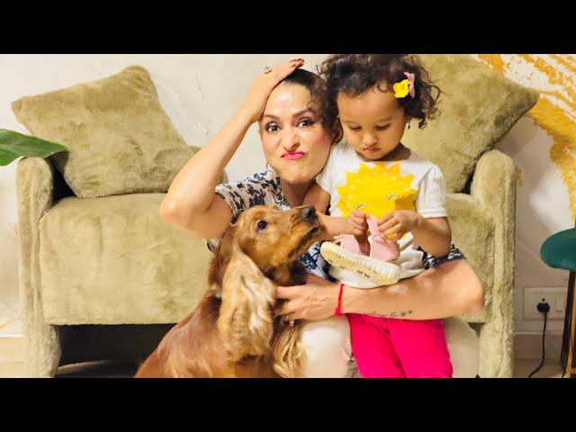 “Crazy Sunday Antics “ ​⁠​⁠@awesomeagnihotrisvlog