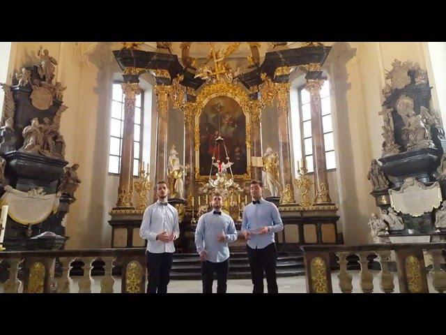 Soultrip - Ich kenne nichts (Acapella)