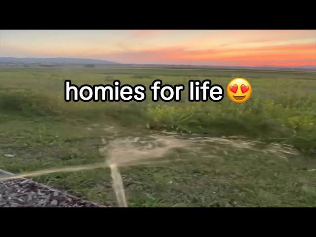 offensive memes but if ylyl