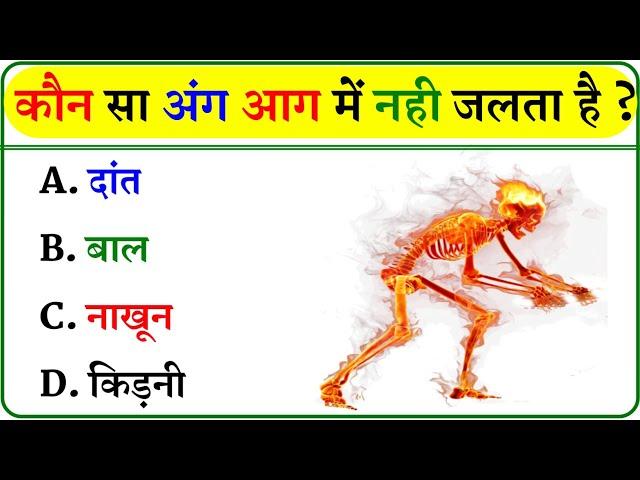 GK Question || GK In Hindi || GK Question and Answer || GK Quiz ||