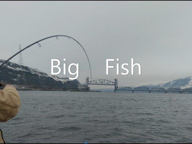 Columbia River Sturgeon Fishing January, 2022. Fishing the Celilo Falls Hole. Cold weather fishing.