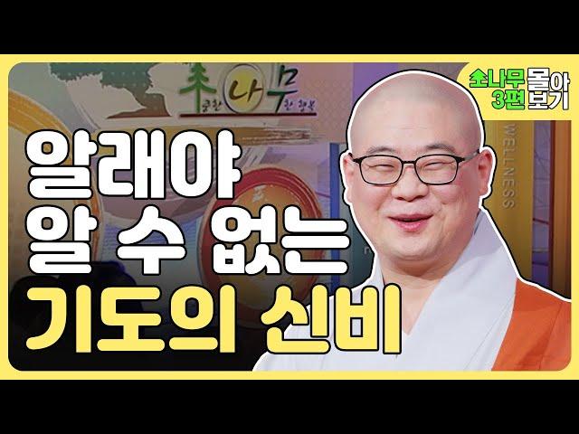 알래야 알 수 없는 기도의 신비 [광우스님 소나무 3편 몰아보기]