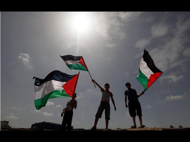 Palestine, We Stand with You! | A Song of Hope, Strength, and Peace