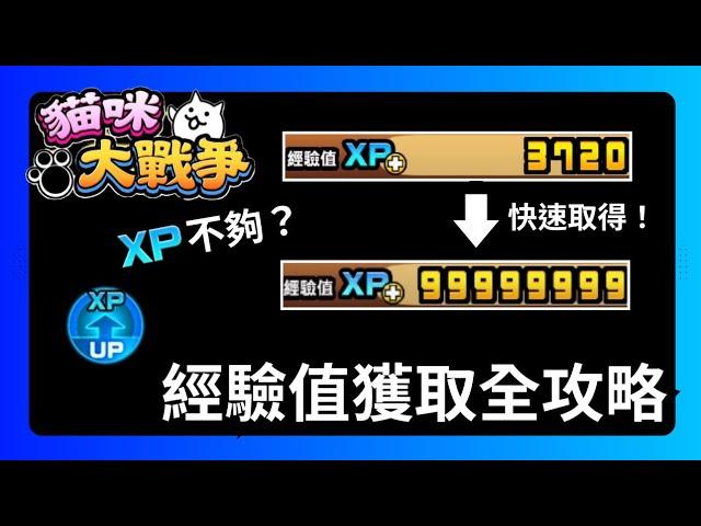 XP不夠用？不知道怎麼刷？看完這部影片讓你經驗值溢出! 經驗值獲取全攻略 新手攻略系列#10 #貓咪大戰爭 #新手