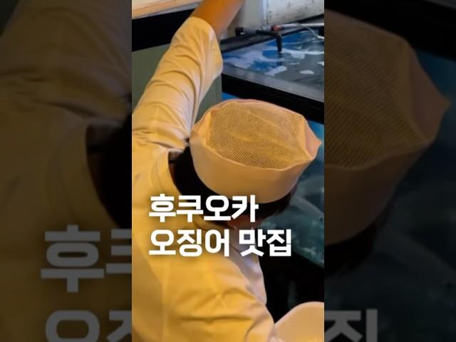 후쿠오카 오징어 맛집 ‘호우쇼우‘ / 후쿠오카 맛집 여행