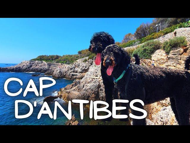 Walking at Cap d’Antibes (with dogs) | French Riviera Travel Guide