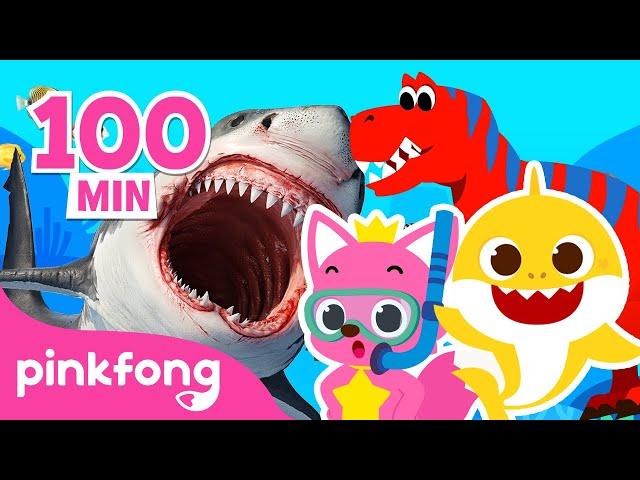 Best Pinkfong & Baby Shark Stories 2021 | Dinosaur and more | Pinkfong Stories for Kids