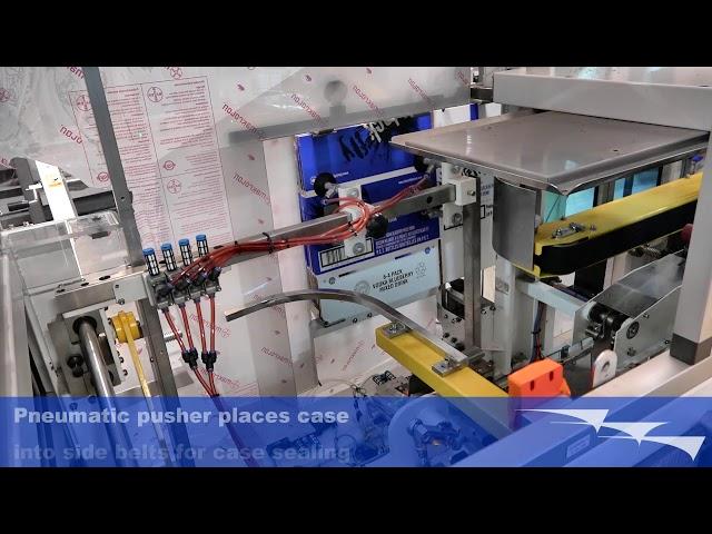 309 - CE-CEB - Automatic Case Erector and Bottom Sealer