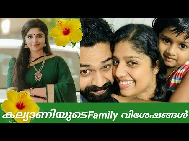 Chembarathi serial / Amala Gireeshan /Chembarathi serial Amala/Chembarathi serial Kalyani/Fea Dreams