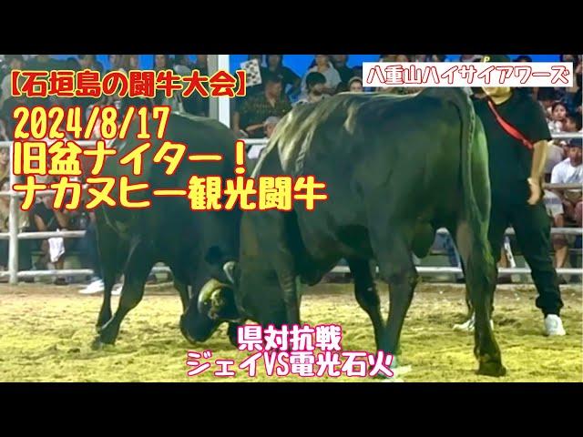 【石垣島の闘牛大会】2024/8/17 旧盆ナイター！ナカヌヒー観光闘牛大会　県対抗戦　ジェイVS電光石火