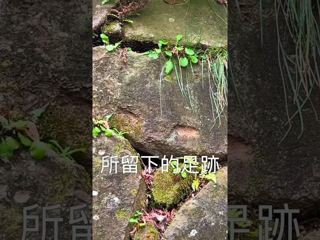 來到一座沒有城堡存在的歷史遺跡城走走，那座遺跡城叫做 ‘延岡城’ #shorts