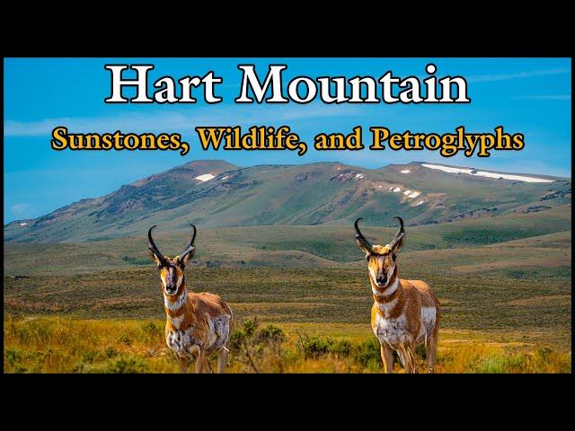 Hart Mountain: Sunstones, Wildlife and Petroglyphs