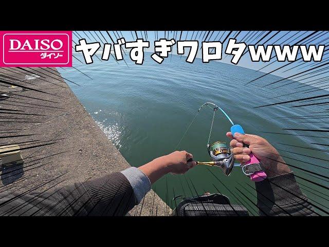 ダイソー穴釣りロッドで青物釣るとこうなります・・・・