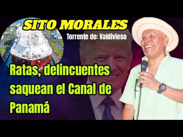 Sito Morales| Basuras en el Canal de Panamá| Valdivieso #musicafolklorica #decimaspanameñas