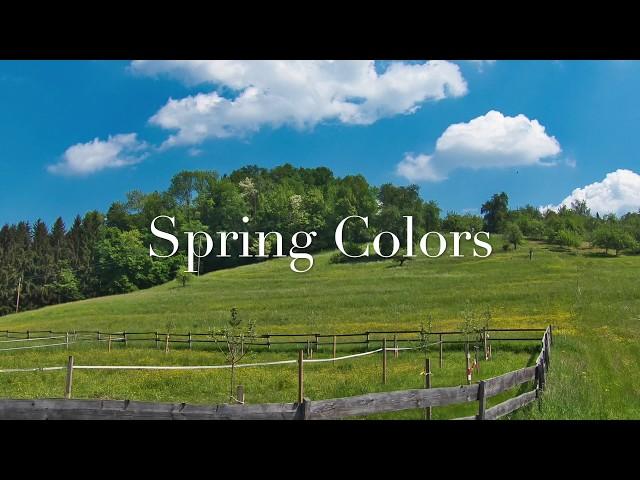 Spring Colors