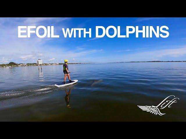 E-FOIL WITH DOLPHINS