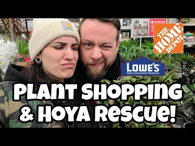 Plant Shopping & Hoya Rescue!!  repot with me  Home Depot + Lowe's in Littleton, NH