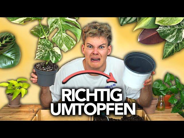 PFLANZEN UMTOPFEN - So geht's richtig | Joey's Jungle Plants