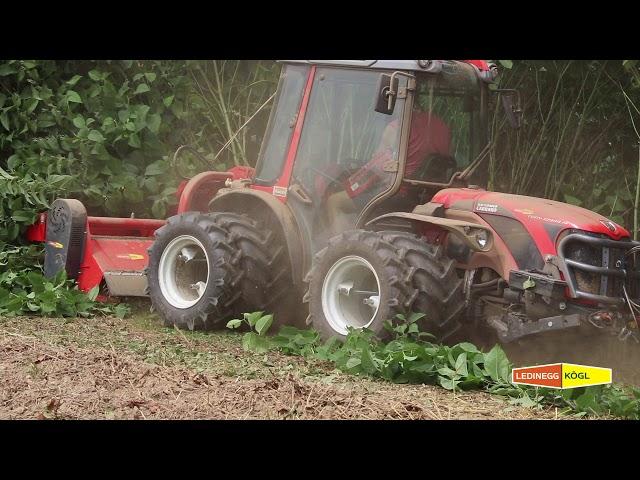 Dragone VM Schlegelmulcher mit Antonio Carraro Tony TR