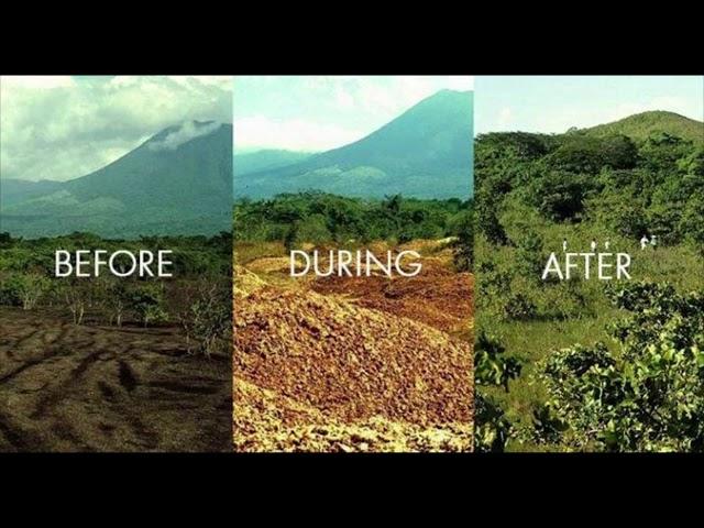 conservation ecology, Restoration ecology