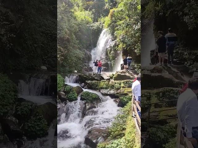 Waterfall at Rock garden #darjeeling #waterfall #rockgarden